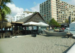 Chinasol Tropical