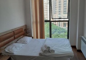 City Central Apartment