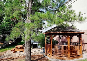 Close to Concord Park! Pet-friendly Suite with Private Kitchen! Parking, Gazebo!