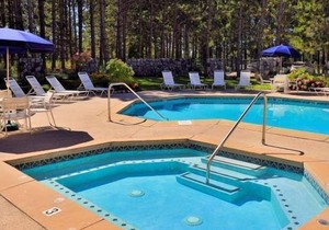 Close to Golf Courses, Nubs Nob and Boyne Skiing, Trout Creek Condo #115 - 3 Bdrms, 2 Baths