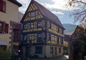 Coeur d'Alsace 2 in a charming half-timbered house