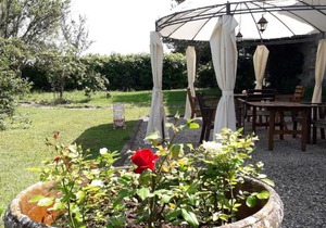 Coltifredi Apartment