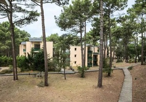 Comfort 1-bedroom apartment (sleeps 4)