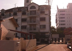 Comfort Cube Phoenix S Kumamoto