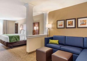 Comfort Inn and Suites Schenectady - Scotia