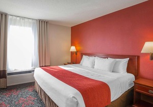 Comfort Inn and Suites University