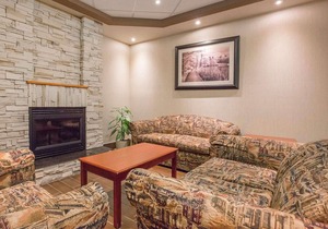 Comfort Inn and Suites University