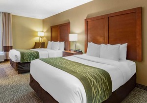 Comfort Inn Apex