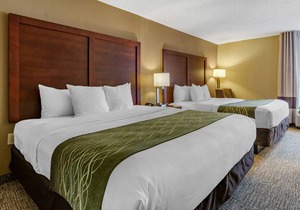 Comfort Inn Apex