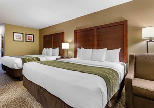 Comfort Inn Apex