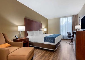 Comfort Inn Binghamton