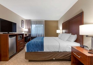 Comfort Inn Binghamton
