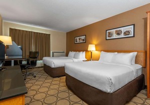 Comfort Inn Highway 401