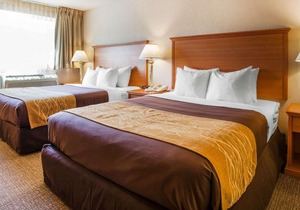 Comfort Inn Kirkland