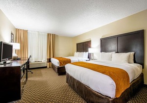 Comfort Inn Matteson - Chicago