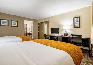 Comfort Inn Matteson - Chicago