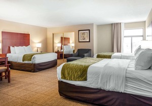 Comfort Inn Near Fallon Naval Air Station