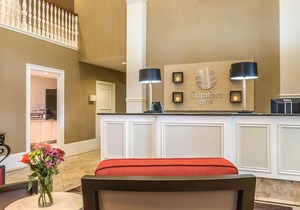 Comfort Inn Plainwell