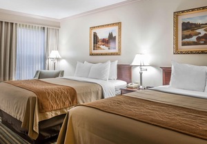 Comfort Inn Plainwell
