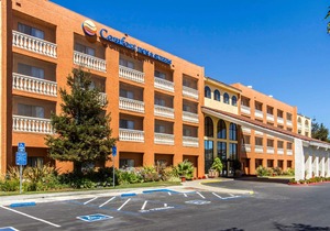 Comfort Inn & Suites Newark Fremont / Silicon Valley