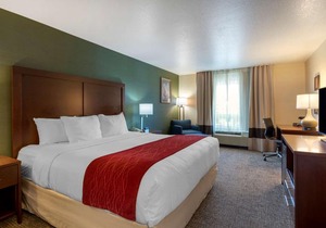 Comfort Inn & Suites Salem