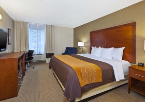 Comfort Inn & Suites Taylor