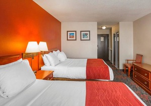 Comfort Inn & Suites University