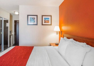 Comfort Inn & Suites University
