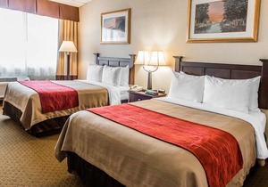 Comfort Inn