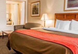 Comfort Inn