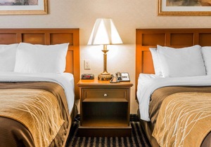 Comfort Inn Utica