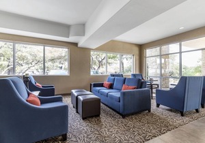 Comfort Suites Medical Center Near Six Flags