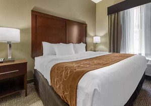 Comfort Suites Bridgeport - Clarksburg