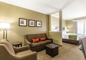 Comfort Suites Houston IAH Airport - Beltway 8