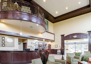 Comfort Suites Palestine