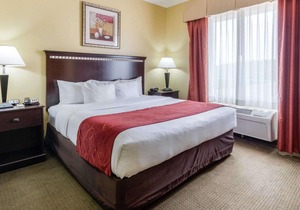 Comfort Suites Palestine