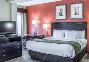 Comfort Suites Regency Park