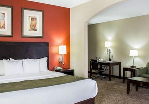 Comfort Suites Regency Park