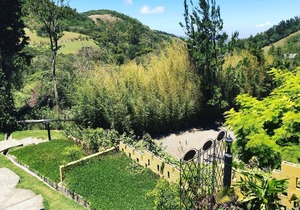 Comfortable and Peaceful stay in Monteverde