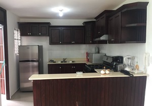 Comfortable apartment in Santiago