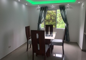 Comfortable apartment in Santiago