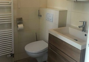 Comfortable holiday home near the Langweerder Wielen