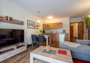 Comfortplus vacation apartment with 1 bedroom and terrace on the first floor