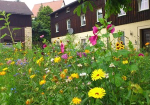 Comfy Apartment in Weißig with Garden