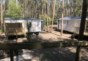 Comfy chalet with deck, in the Antwerp Kempen