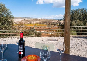 Complejo Rural El Molinillo -