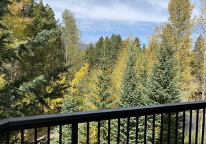 Completely remodeled Peak 9 base +downtown LARGE 2 bed/bath condo