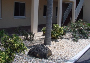 Condo fully furnished 2bdrm/1bath. Walk or trolley to beaches, dining & fun.