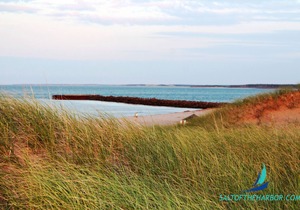Condo With A View - North Rustico Harbor - Saltoftheharbor #4
