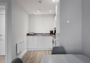 Contemporary & Bright 1BR Apartment in Birmingham